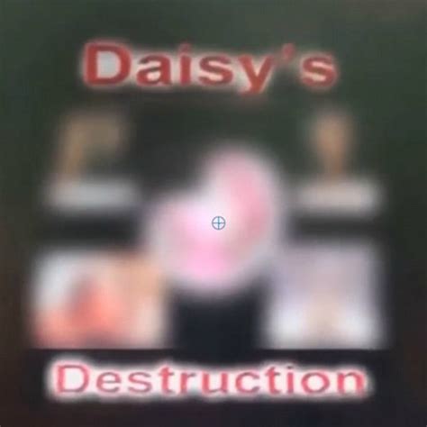 daysi destruction twitter